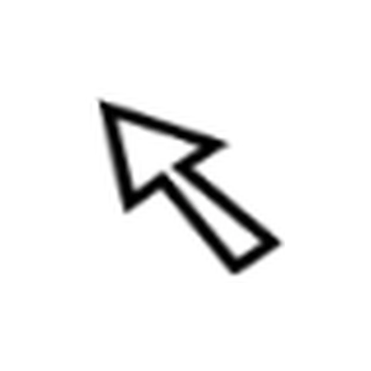 Custom Cursor